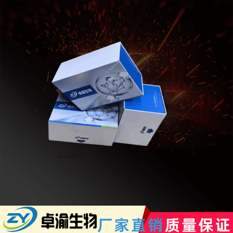 牛αS2酪蛋白αS2-casein elisa试剂盒