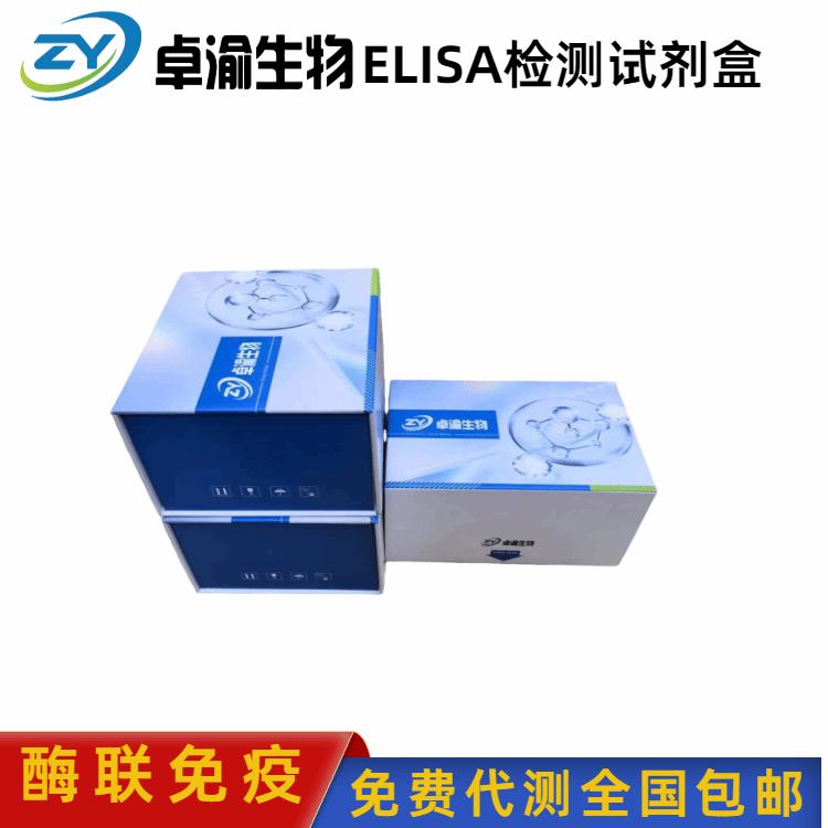 绵羊白介素1(IL-1)ELISA试剂盒