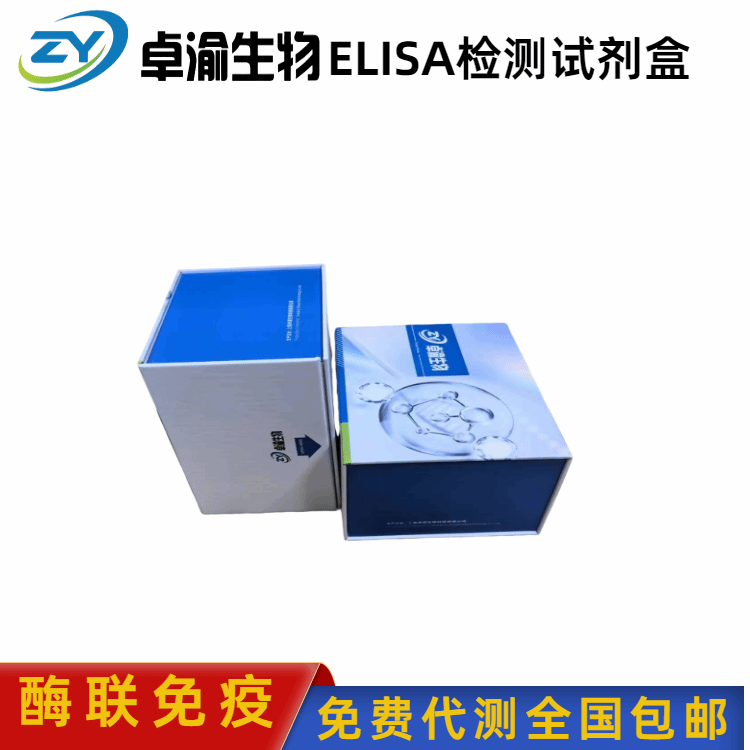 人白介素-18结合蛋白IL-18BP elisa试剂盒