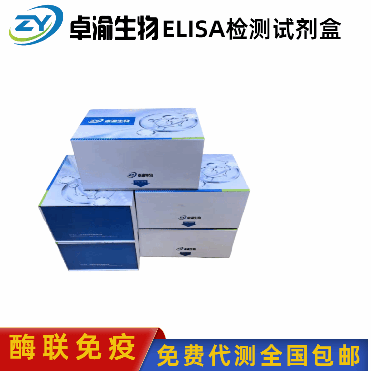 绵羊白介素6(IL-6)ELISA试剂盒