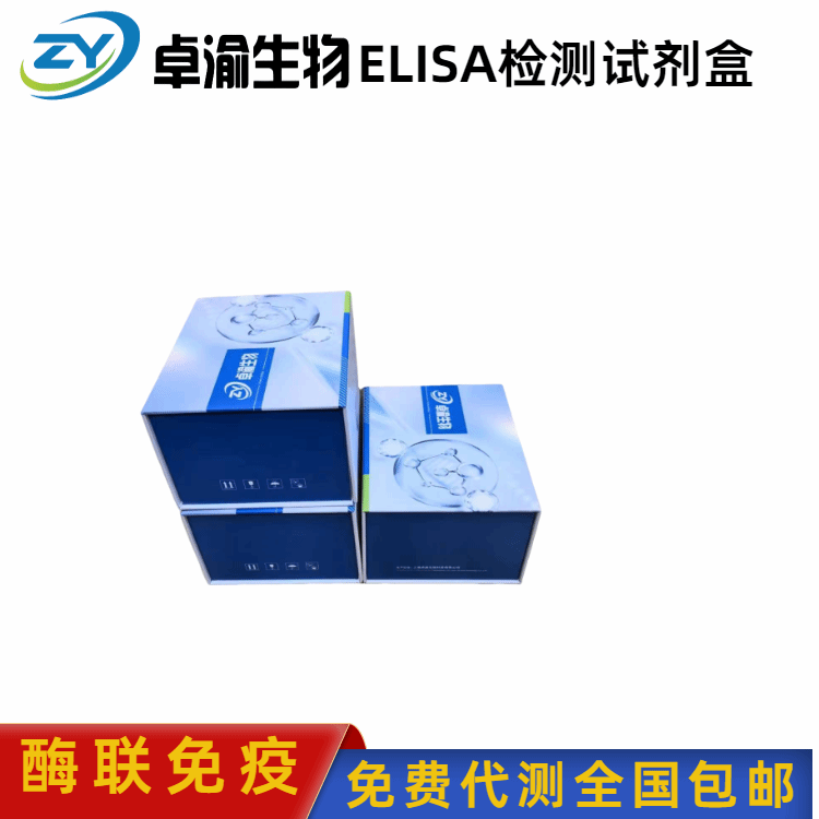 人磷酸化TAR DNA结合蛋白43pTDP43 elisa试剂盒