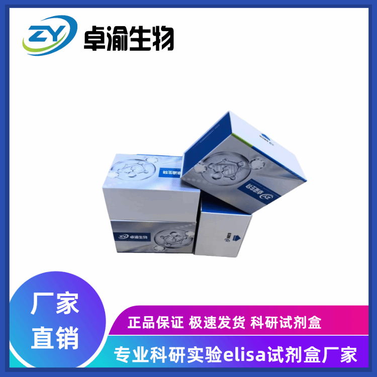 人Plexin域包含蛋白2PLXDC2 elisa试剂盒