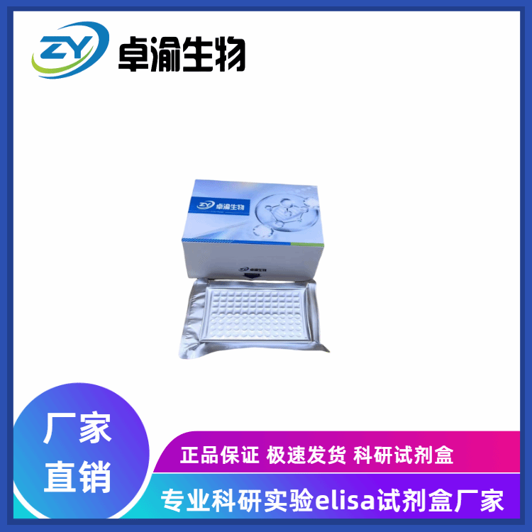 小鼠CD84分子CD84；SLAMF5 elisa试剂盒