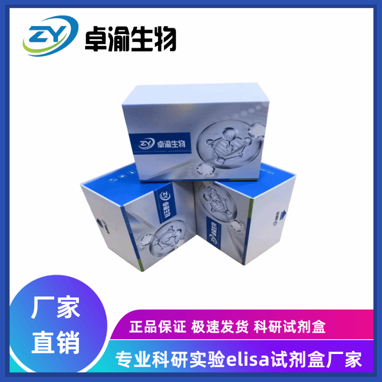 兔子脂蛋白磷脂酶A2(Lp-PL-A2)ELISA试剂盒