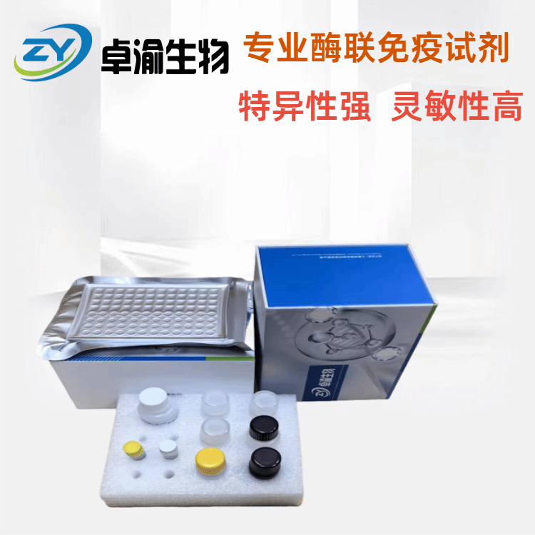 人淋巴细胞抗原9LY9；CD229 elisa试剂盒