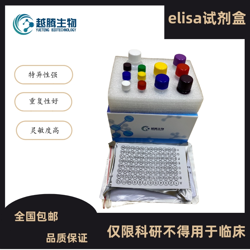 人分泌型磷脂酶A2(sPLA2)elisa试剂盒