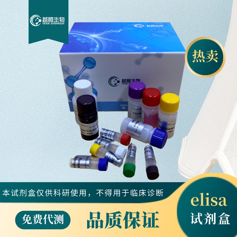 人脂质运载蛋白-2(LCN-2)elisa检测试剂盒