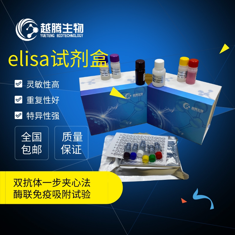 大鼠λ干扰素(IFN-λ）elisa试剂盒