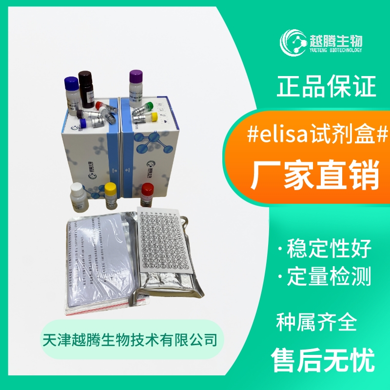 人半胱氨酸蛋白酶抑制剂/胱抑素C(Cys-C)elisa检测试剂盒