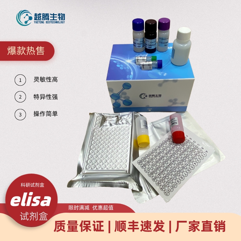 人重肽网格蛋白(CLTC)elisa检测试剂盒