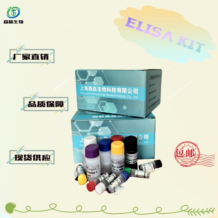 大鼠尼克酰胺腺嘌呤二核苷酸磷酸氧化酶2（NOX2）elisa试剂盒