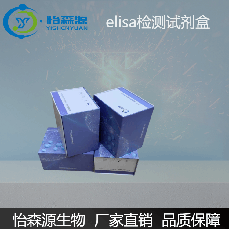 大鼠白介素9(IL-9)ELISA试剂盒