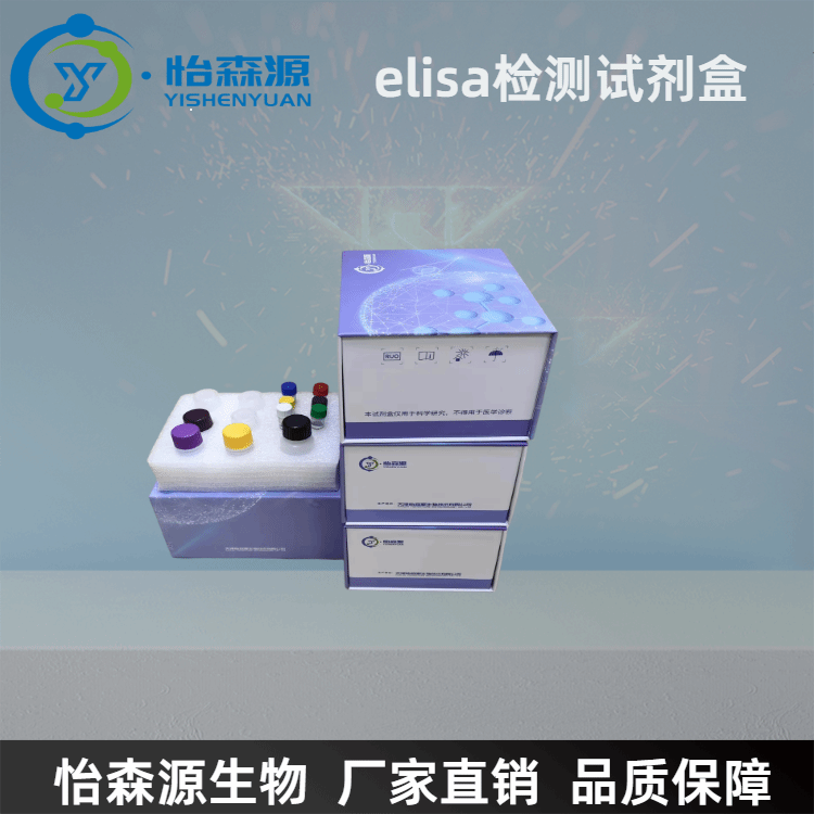 大鼠血管紧张素Ⅰ(Ang-Ⅰ)ELISA试剂盒