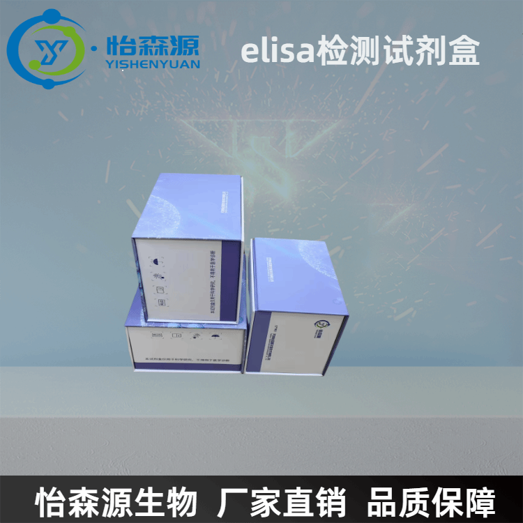 大鼠血管生成素受体Tie1(ANG-R-Tie1)ELISA试剂盒