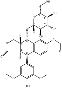 4'-去甲基表鬼臼毒素-Β-D-葡萄糖甙 产品图片