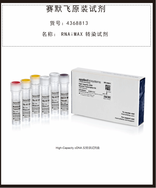 High-Capacity cDNA 反转录试剂盒4368813赛默飞Thermo