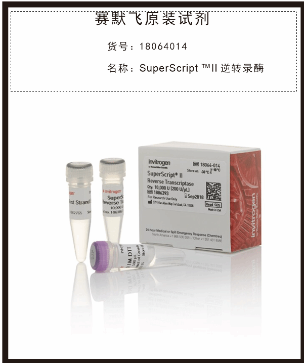 Lipofectamine RNAiMAX 轉(zhuǎn)染試劑13778150賽默飛Thermo