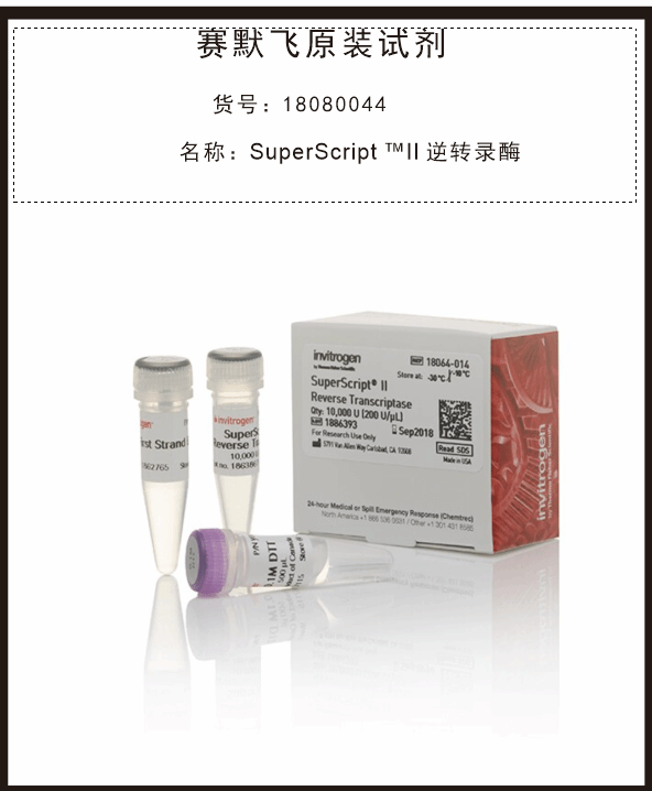 High-Capacity cDNA 反轉(zhuǎn)錄試劑盒4368813賽默飛Thermo