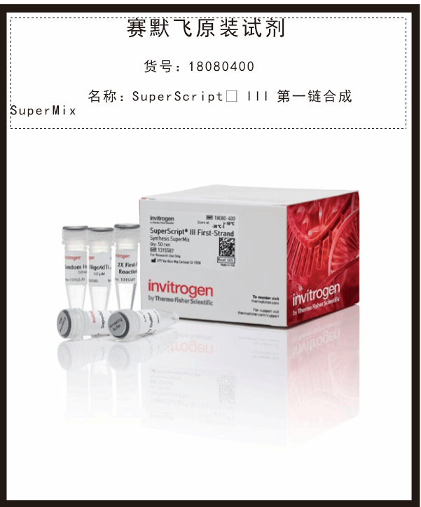 生物素-14-dATP 19524016赛默飞Invitrogen试剂Thermo