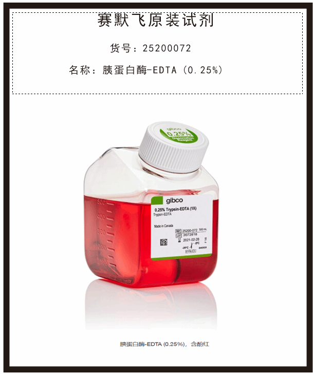 胰蛋白酶-EDTA (0.25%)，含酚紅25200072賽默飛Gibco試劑