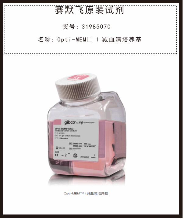 DMEM高糖11965084賽默飛Gibco試劑Thermo Scientific