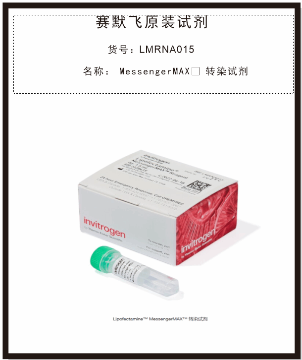 MessengerMAX 转染试剂LMRNA015赛默飞Invitrogen试剂