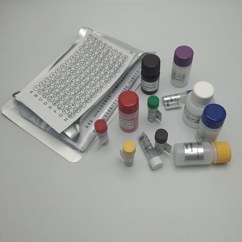 羽扇豆源性成分PCR试剂盒