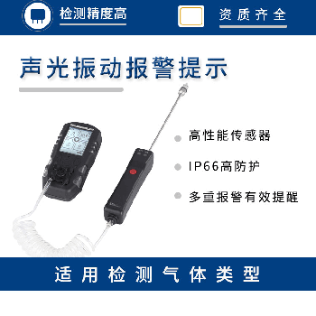 手持式气体检测仪器