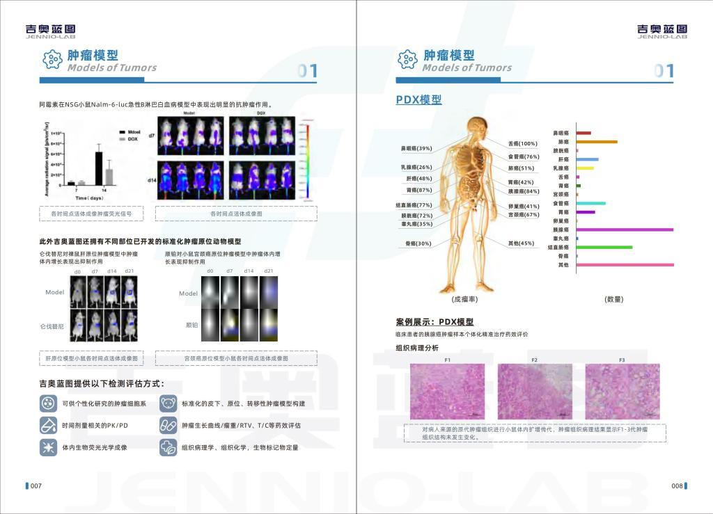 M-1小鼠腎集合管細(xì)胞系