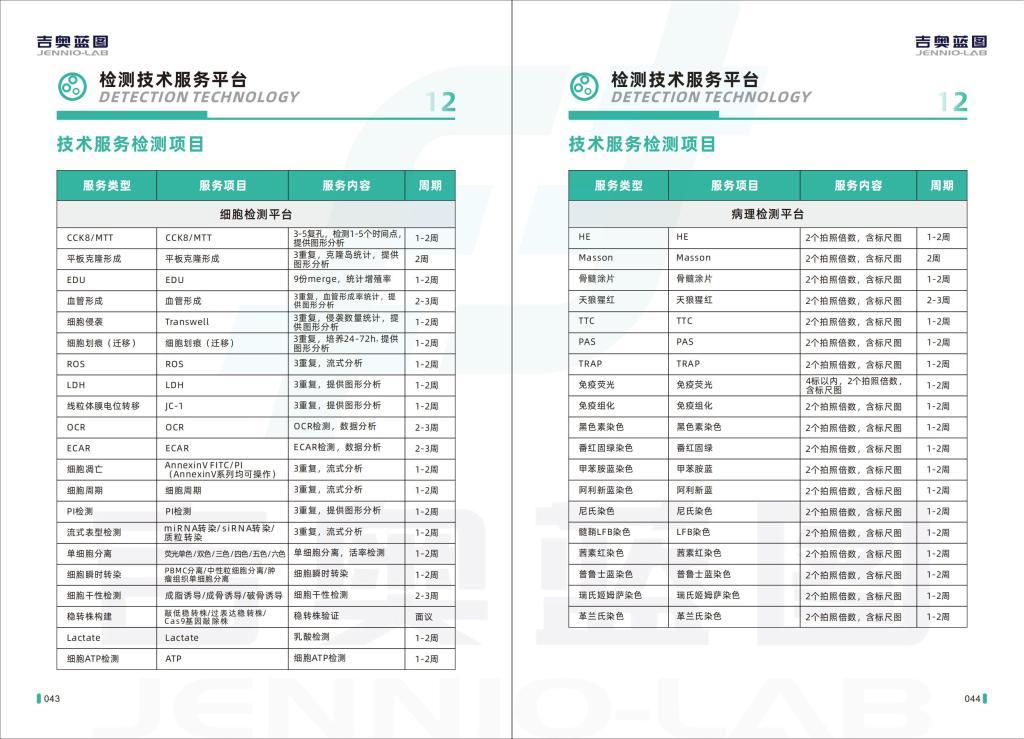 M-1小鼠腎集合管細胞系