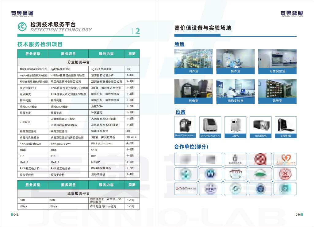 M-1小鼠腎集合管細(xì)胞系