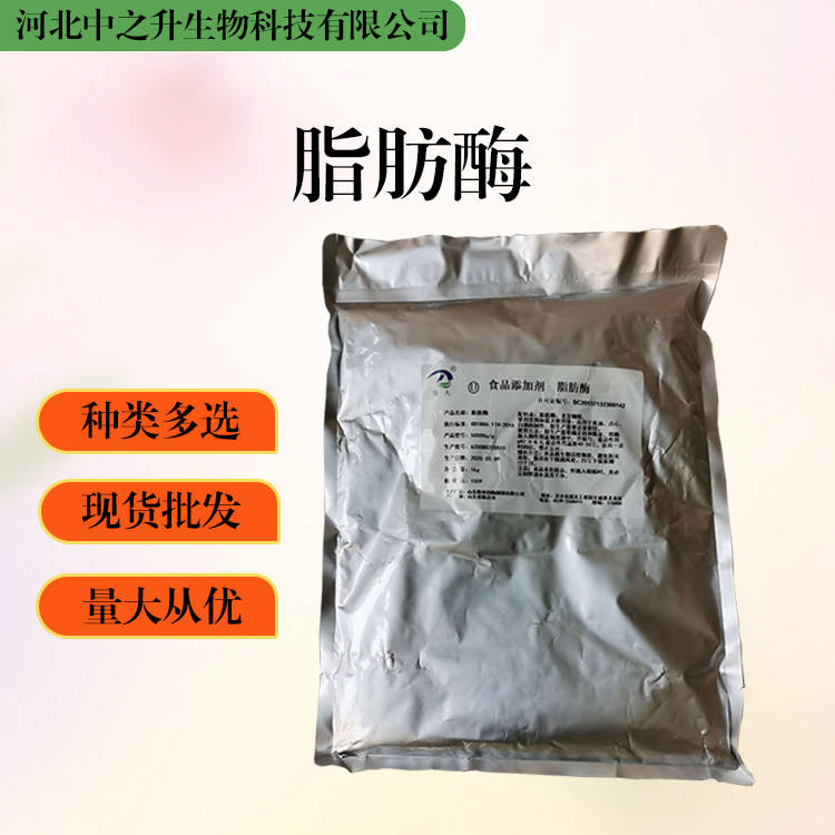 大量批發(fā)脂肪酶 食品級 脂肪酶