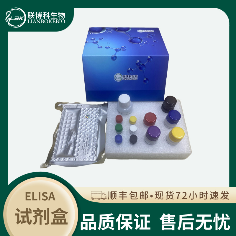 大鼠ATP结合盒转运蛋白C4(ABCC4)elisa检测试剂盒