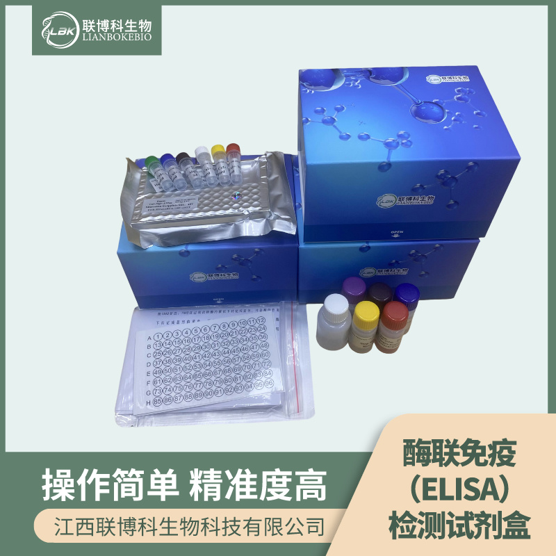 人真核翻译起始因子4E结合蛋白1(EIF4EBP1)elisa试剂盒