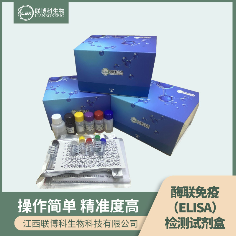 小鼠单纯疱疹病毒2IgG抗体(HSV2-IgG)elisa试剂盒