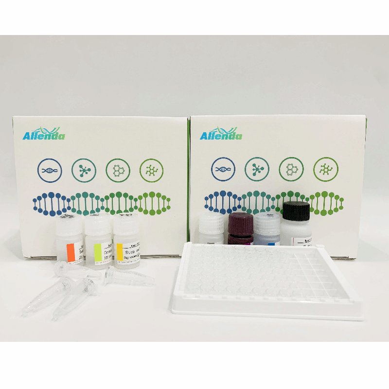 大鼠细胞色素P4503A4ELISA试剂盒