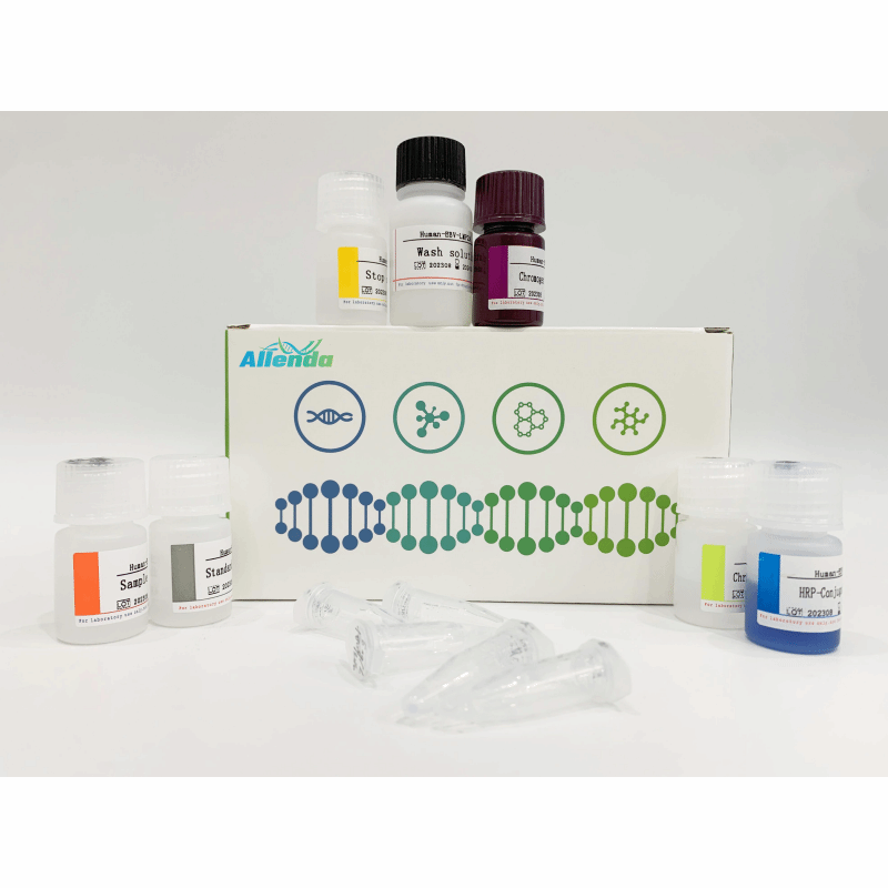 大鼠组氨酸丰富糖蛋白(HRG)ELISA试剂盒
