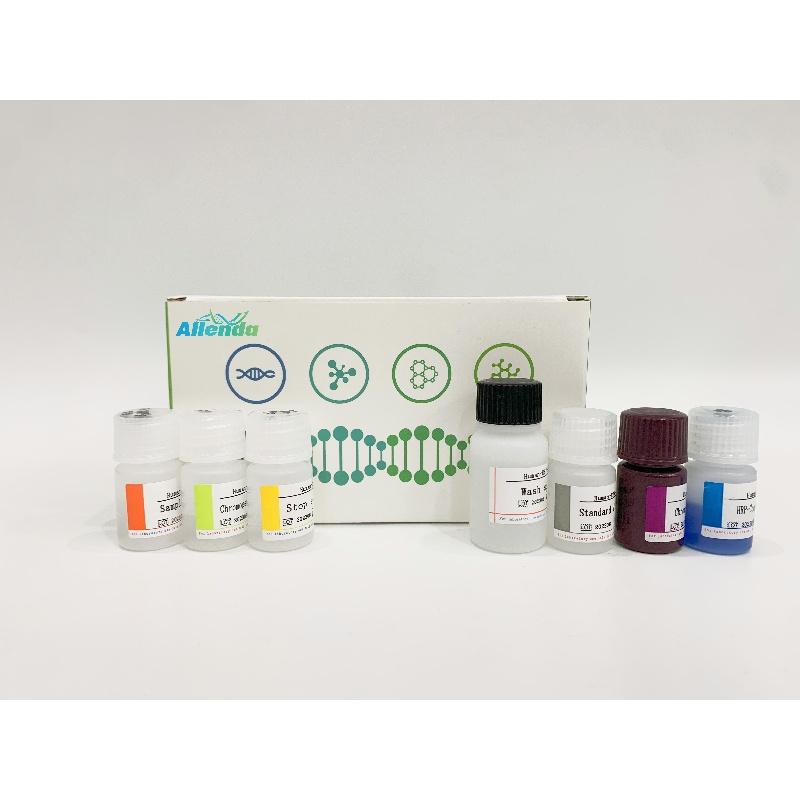 人干扰素α14(IFNα14)ELISA试剂盒