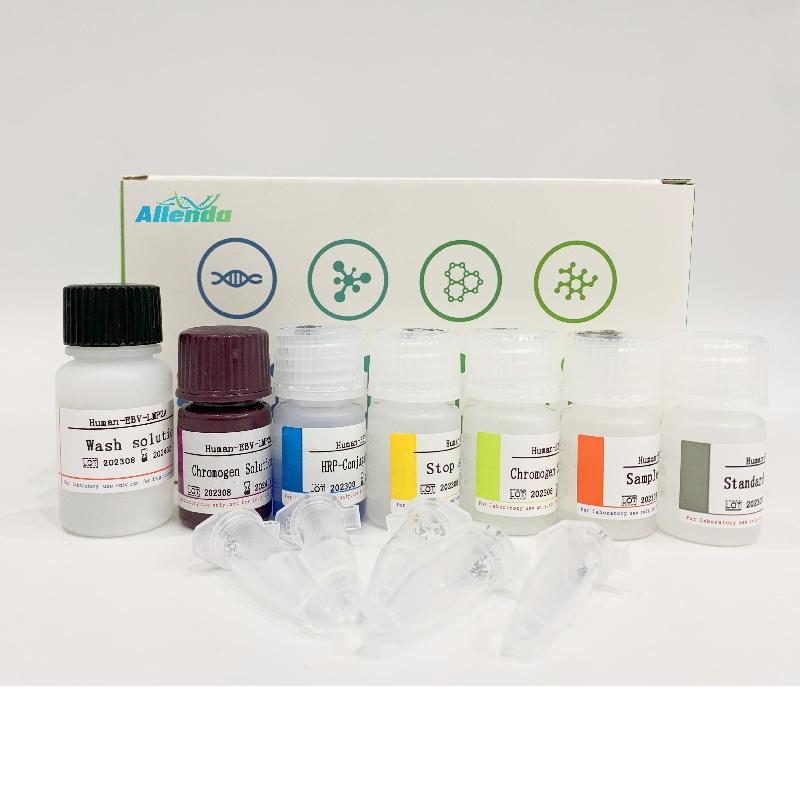 人巨噬细胞炎性蛋白3β(MIP3β)ELISA试剂盒