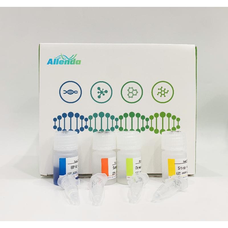 植物细胞色素B5氧化酶ELISA试剂盒