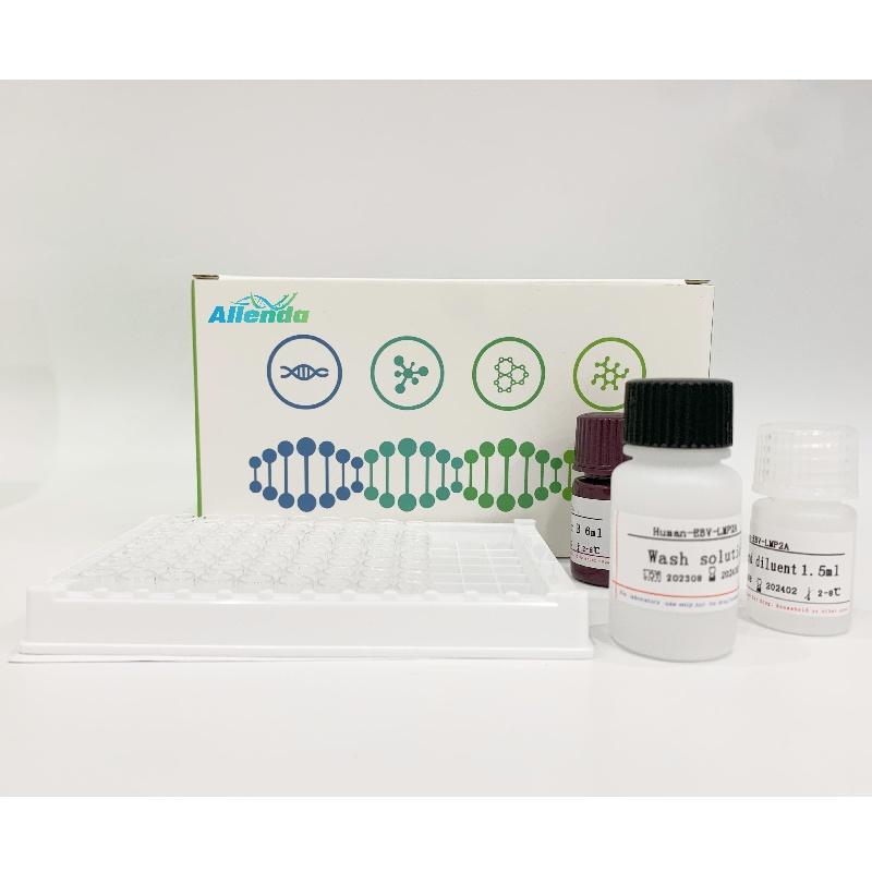 斑马鱼金属硫蛋白ELISA试剂盒