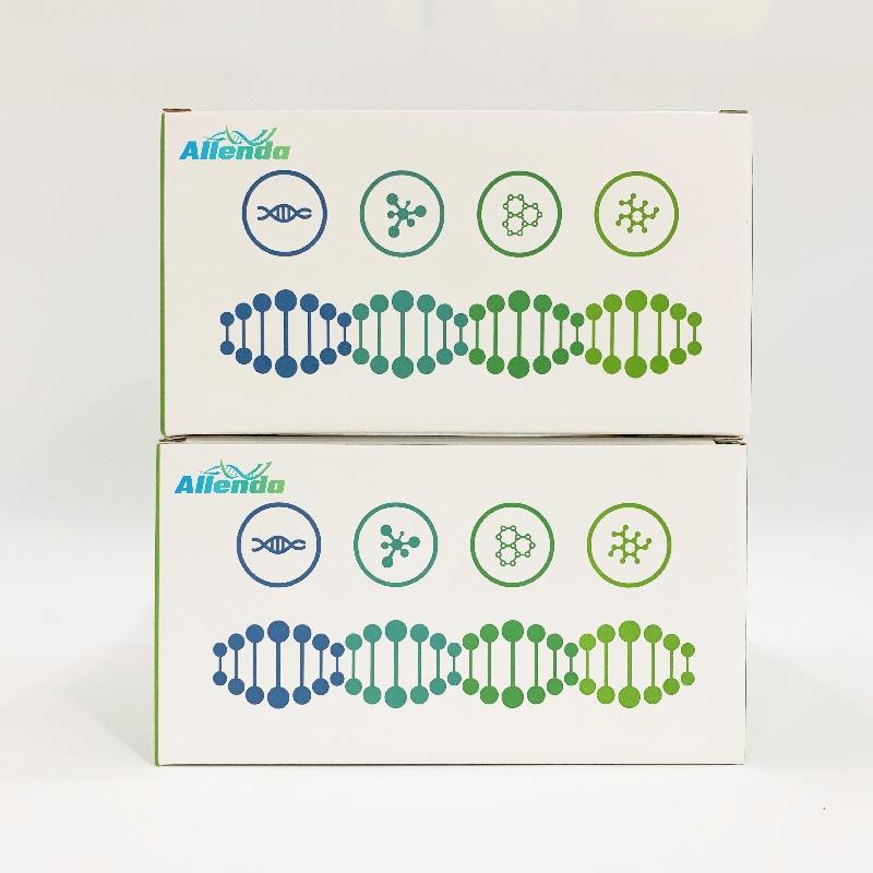 人鱼精蛋白2(PRM2)ELISA试剂盒