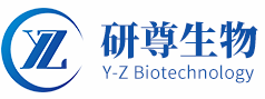上海研尊生物科技有限公司 公司logo
