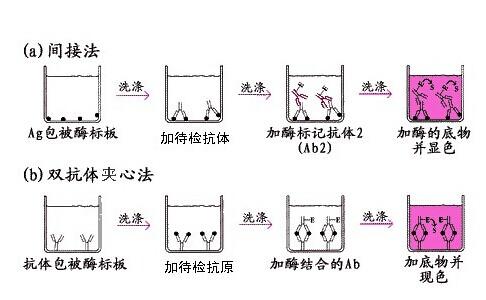 小鼠β淀粉样蛋白1-40(Aβ1-40)elisa试剂盒