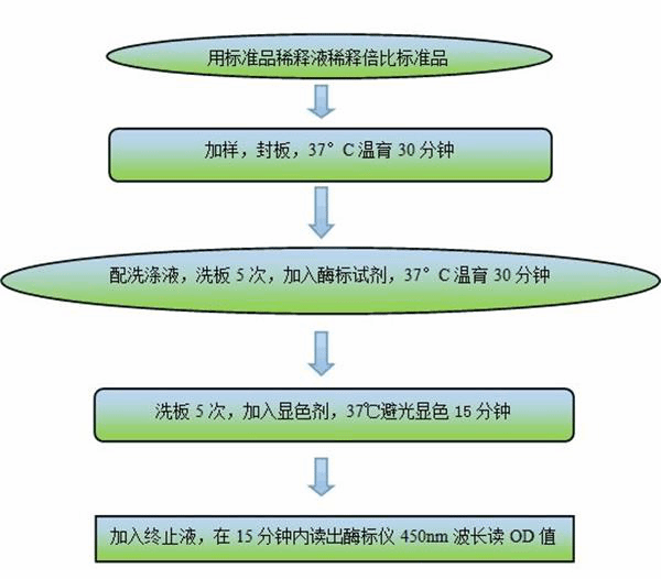 牛神经肽Y(NPY)elisa检测试剂盒