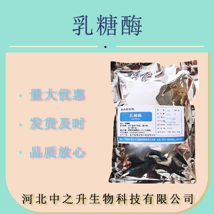 供應(yīng) 食品級 乳糖酶 β-半乳糖苷酶 分解乳糖不耐受 乳糖酶 原料