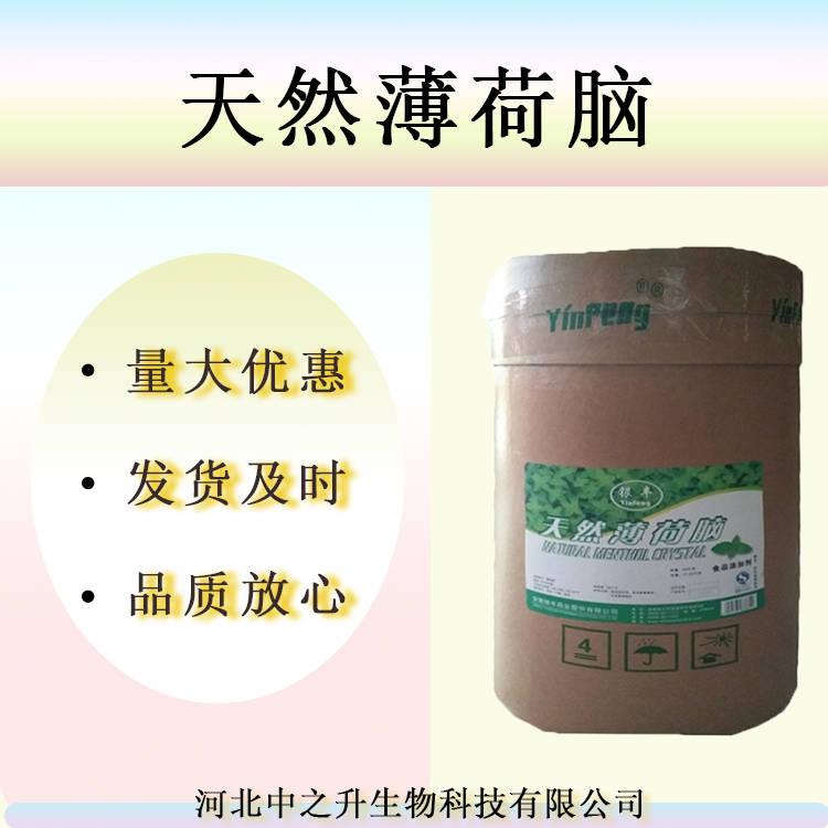 批發(fā)供應(yīng)食品級天然薄荷腦粉末清涼型植物提取1kg起薄荷腦