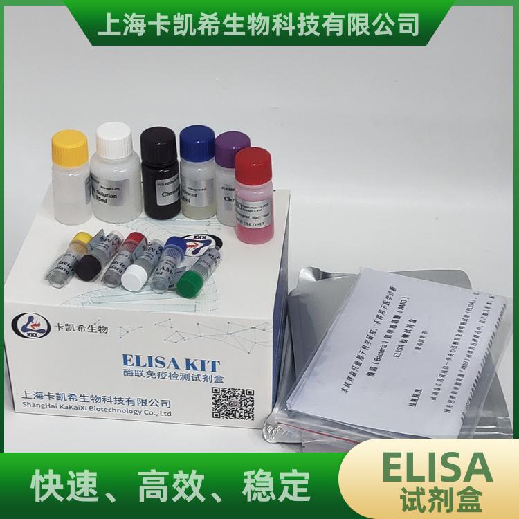 人假尿苷酸合酶1(PUS1)elisa试剂盒