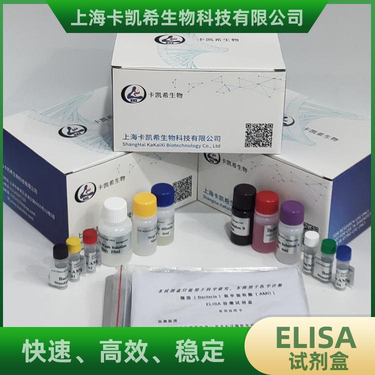 人类T淋巴细胞白血病病毒igm抗体(HTLV-igm-Ab)elisa试剂盒