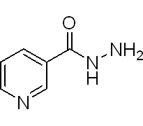 烟酸酰肼553-53-7